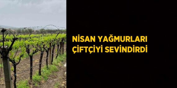 NİSAN YAĞMURLARI ÇİFTÇİYİ SEVİNDİRDİ