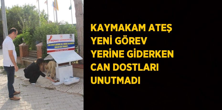 27615270522852521650