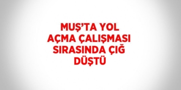 27615279142553721771tasarimli