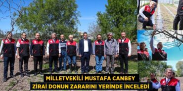 27616200282584025856tasarimli