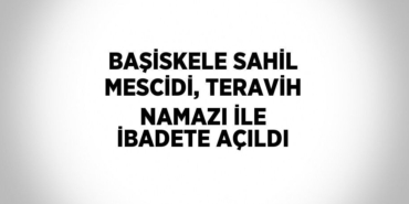 27620268893155622736tasarimli
