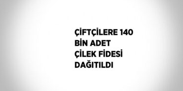 27627242052998423049