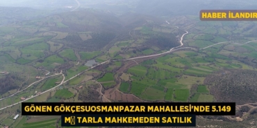 27627282332718923011tasarimli