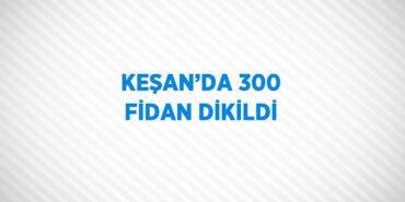 27628238942465423361tasarimli