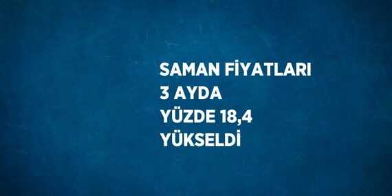 SAMAN FİYATLARI 3 AYDA YÜZDE 18,4 YÜKSELDİ