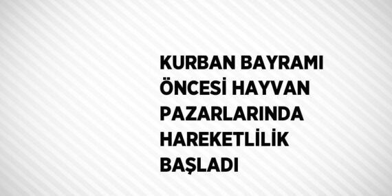 KURBAN BAYRAMI ÖNCESİ HAYVAN PAZARLARINDA HAREKETLİLİK BAŞLADI