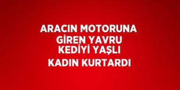 27656311512292124358tasarimli