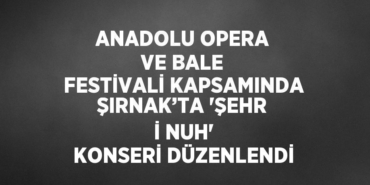 27663202462201531058tasarimli