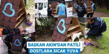 27666313732101823421tasarimli