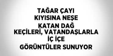 27669260692752922407tasarimli