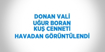 27671289592652925310tasarimli