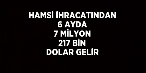 HAMSİ İHRACATINDAN 6 AYDA 7 MİLYON 217 BİN DOLAR GELİR