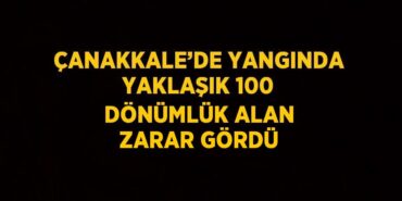 27682250932548324397tasarimli
