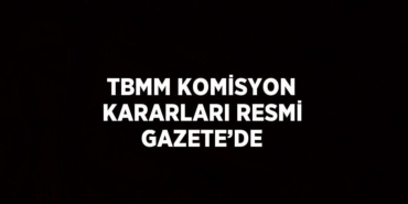 27684282032993026813tasarimli