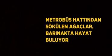 27698276132559025505