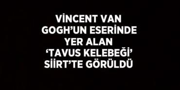 27709257312031131778tasarimli