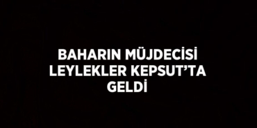 27712253373103926985tasarimli