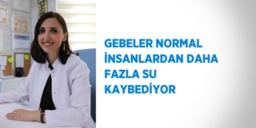 27713246862917923738