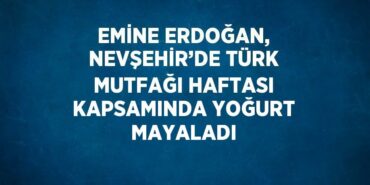 27713307812395825945tasarimli