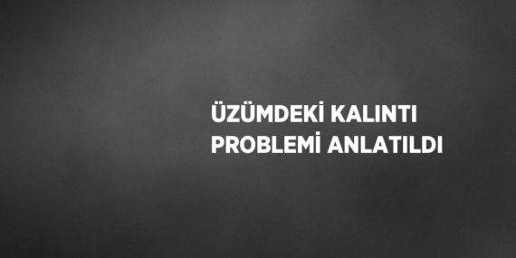 ÜZÜMDEKİ KALINTI PROBLEMİ ANLATILDI