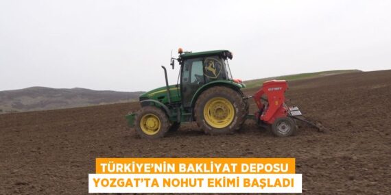 TÜRKİYE’NİN BAKLİYAT DEPOSU YOZGAT’TA NOHUT EKİMİ BAŞLADI