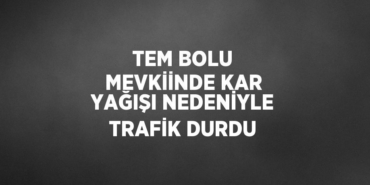 27717246722995028193tasarimli