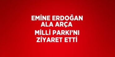 27718292162182820908tasarimli