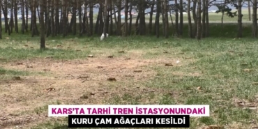 27725221873018920487tasarimli