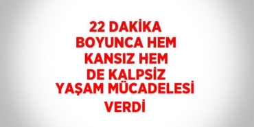 27730284132559925299tasarimli