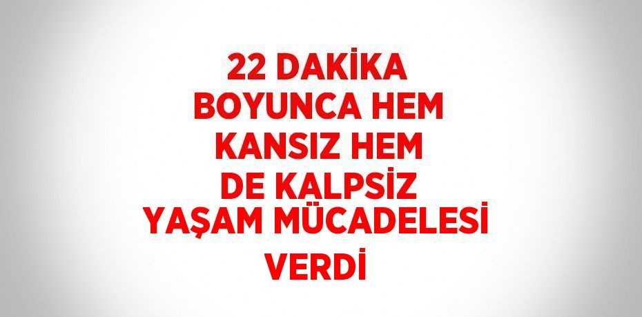 27730284132559925299tasarimli