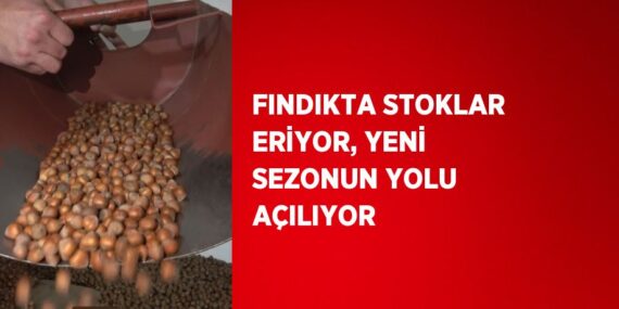 FINDIKTA STOKLAR ERİYOR, YENİ SEZONUN YOLU AÇILIYOR