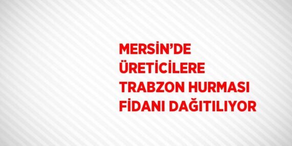 MERSİN’DE ÜRETİCİLERE TRABZON HURMASI FİDANI DAĞITILIYOR