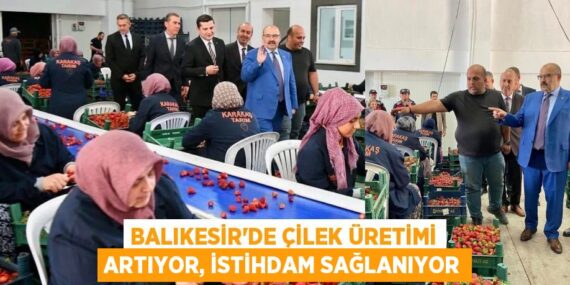 BALIKESİR’DE ÇİLEK ÜRETİMİ ARTIYOR, İSTİHDAM SAĞLANIYOR