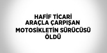 27743311132371231836tasarimli