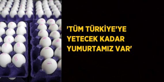 ‘TÜM TÜRKİYE’YE YETECEK KADAR YUMURTAMIZ VAR’