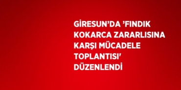 27755250202373923029
