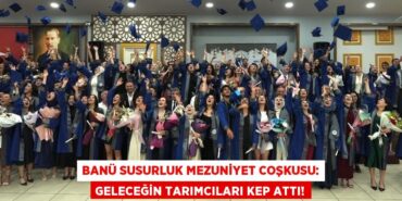 27756230653086022143tasarimli