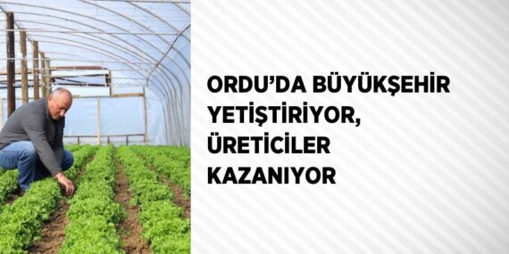 ORDU’DA BÜYÜKŞEHİR YETİŞTİRİYOR, ÜRETİCİLER KAZANIYOR