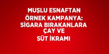 27763250012707524510tasarimli