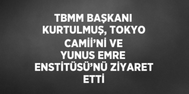 27772239102088824074tasarimli