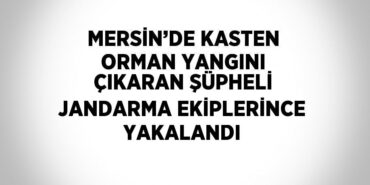 27773299952245123091tasarimli