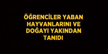 27775297742440629354tasarimli