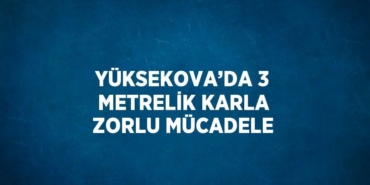 27783278052688823939tasarimli