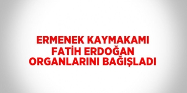 27807287292022921114tasarimli