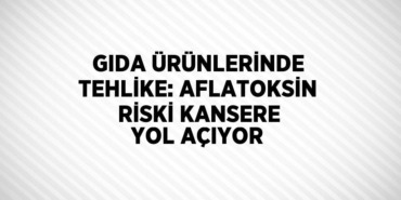 27811200392357329893tasarimli