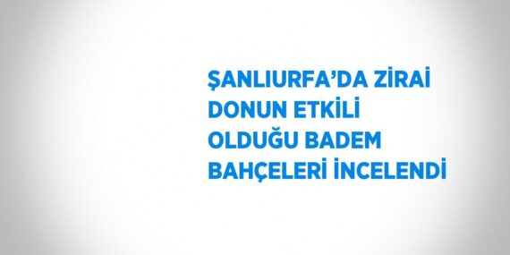 ŞANLIURFA’DA ZİRAİ DONUN ETKİLİ OLDUĞU BADEM BAHÇELERİ İNCELENDİ