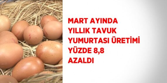 MART AYINDA YILLIK TAVUK YUMURTASI ÜRETİMİ YÜZDE 8,8 AZALDI