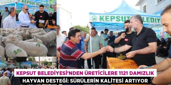 Kepsut Belediyesi’nden Üreticilere 1121 Damızlık Hayvan Desteği: Sürülerin Kalitesi Artıyor