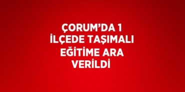 27833222992117131040tasarimli