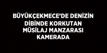 27833297812673328131tasarimli